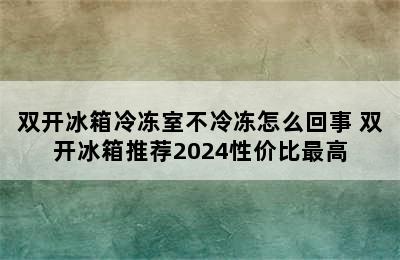 双开冰箱冷冻室不冷冻怎么回事 双开冰箱推荐2024性价比最高